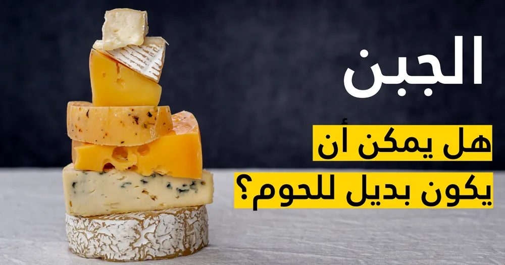 الجبن ،هل يمكن أن يكون بديل للحوم؟
